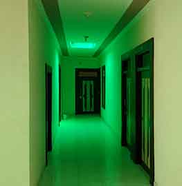 Delicious Food Hotel Taj Moti Mahal Behror Neemrana